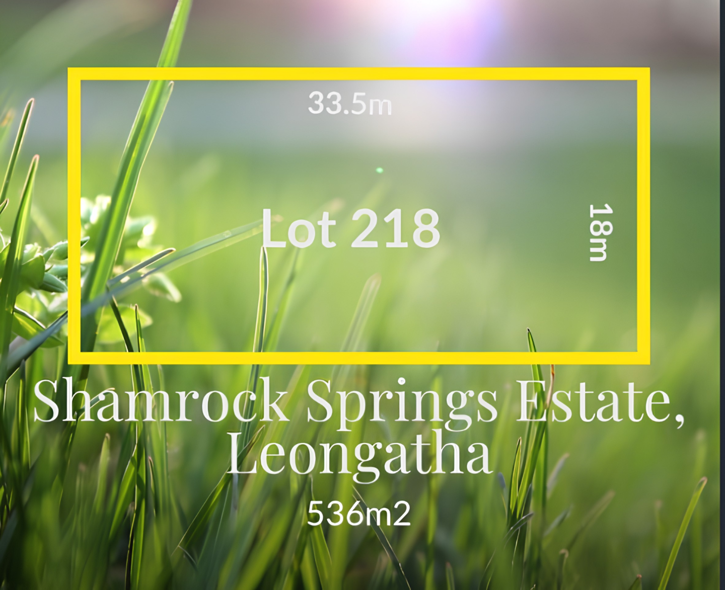Lot 218