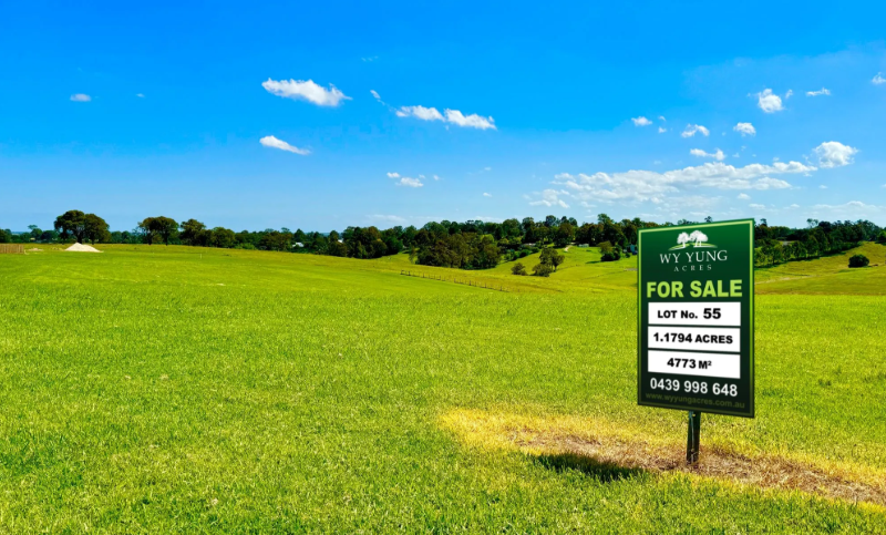 Lot 55