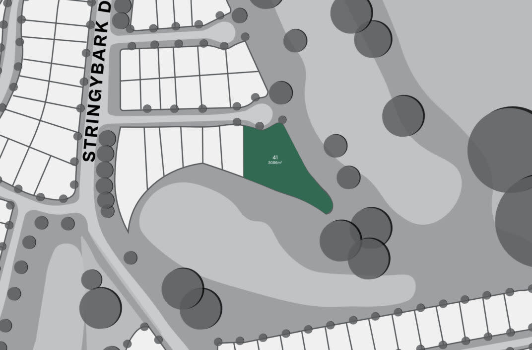 Lot 41