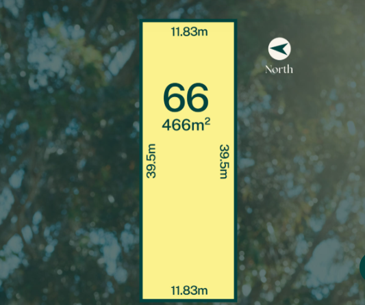 Lot 66