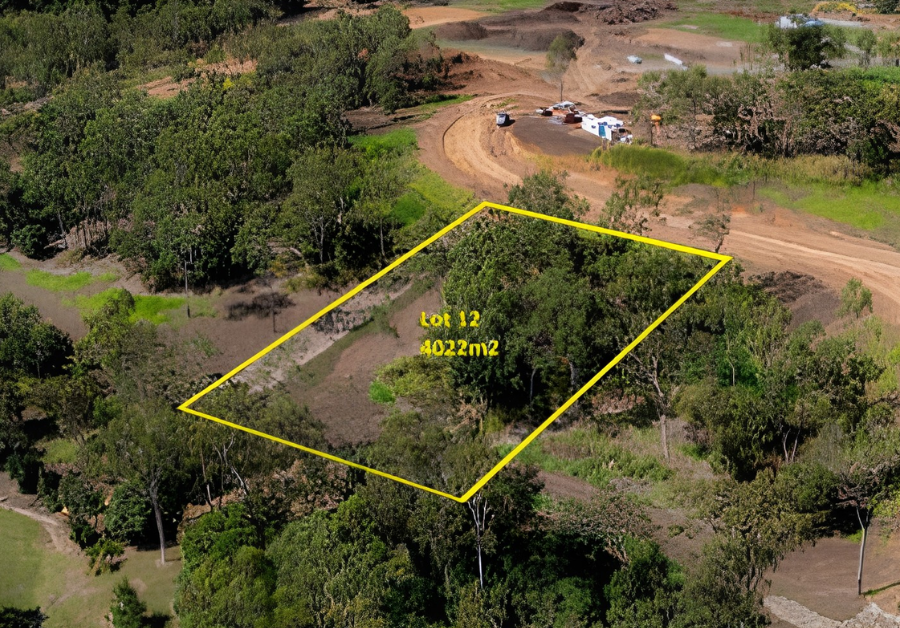 Lot 12
