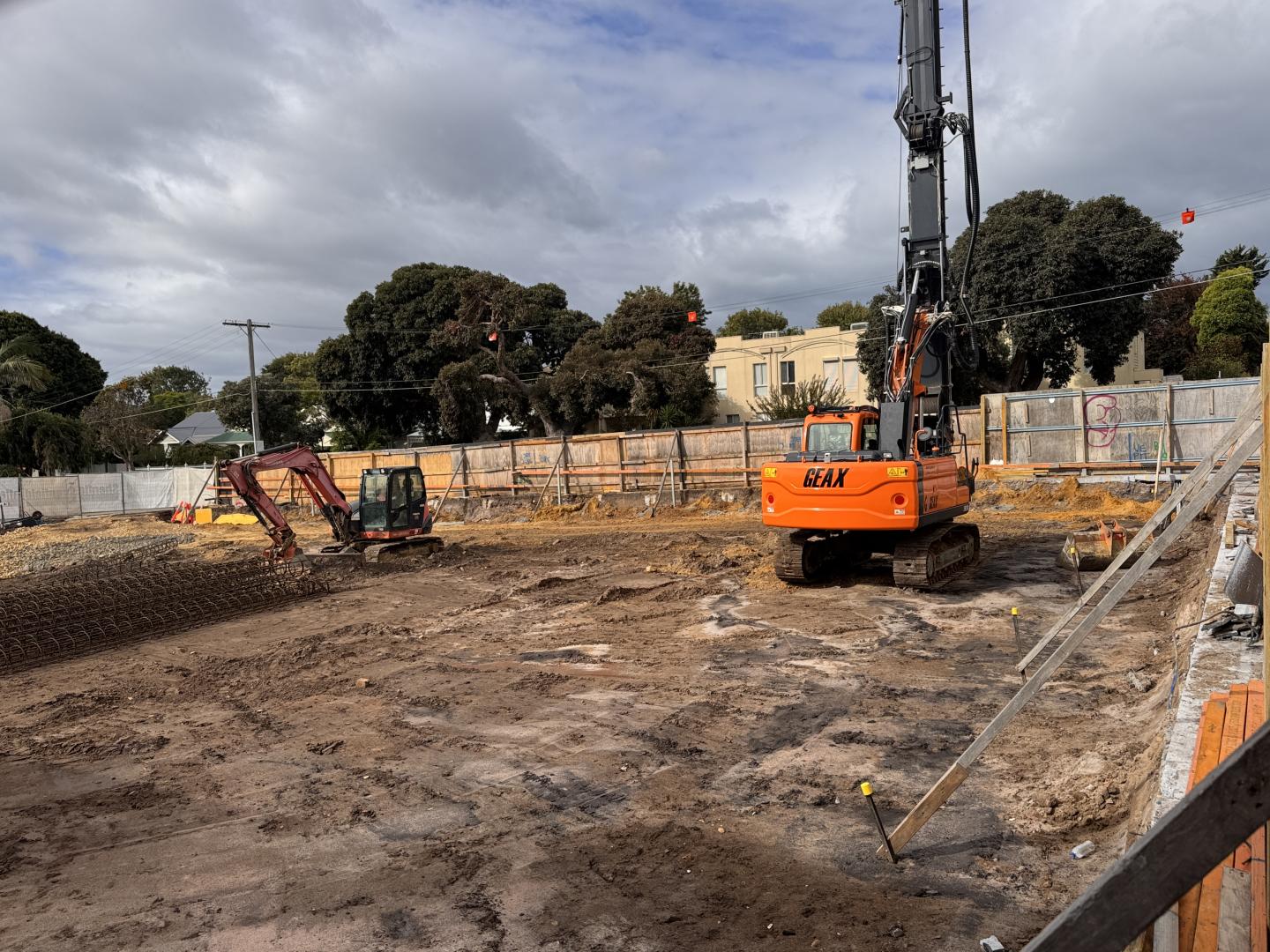 Banksia, Cheltenham