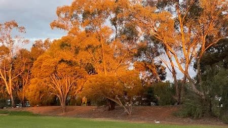 Coorong Quays Estate - Hindmarsh Island