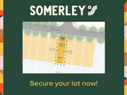 LOT 221