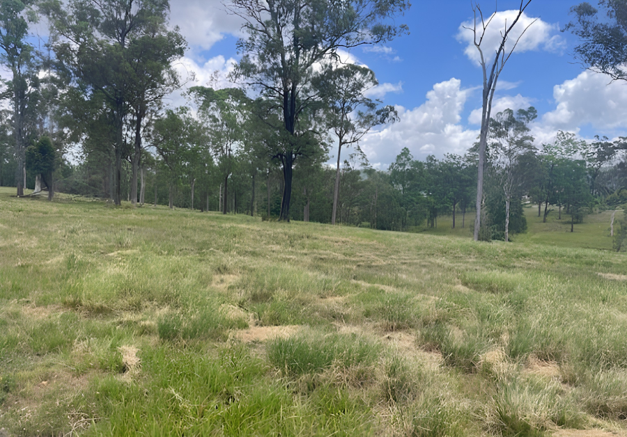 Lot (WOODFORD CENTRAL)