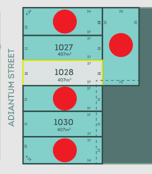 Lot 1028, Stage 11