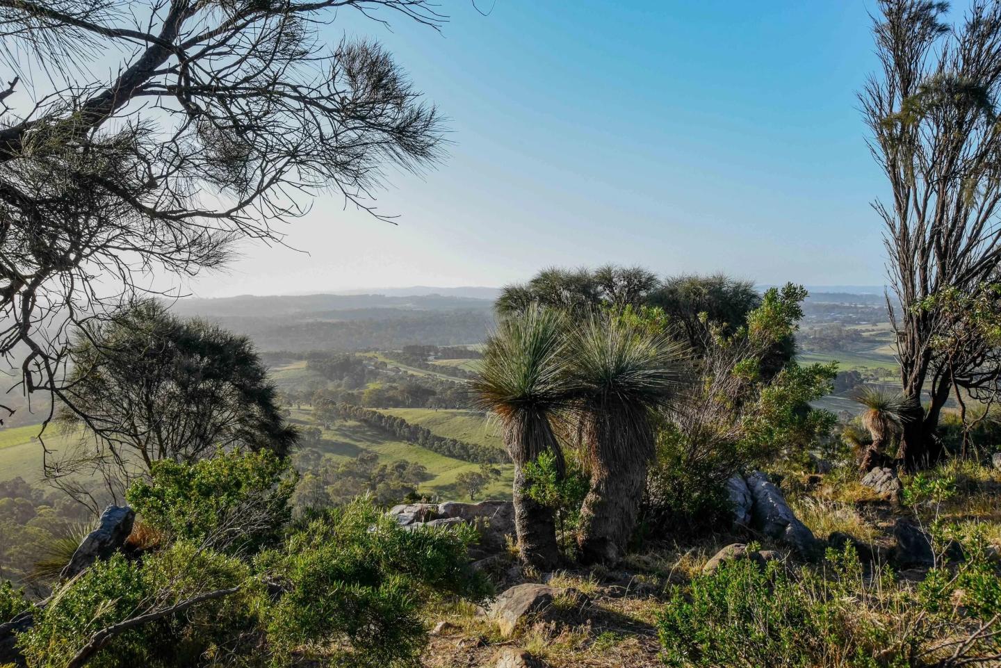 Emerald Way Estate - Mount Barker Emerald Way Estate - Mount Barker