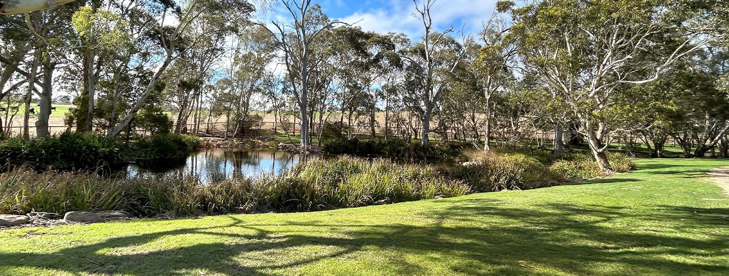 Mt Barker