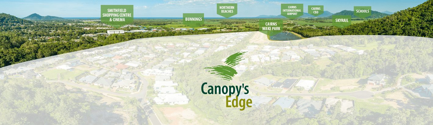 Canopy's Edge