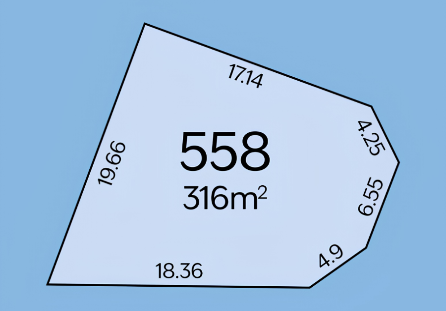 Lot 558