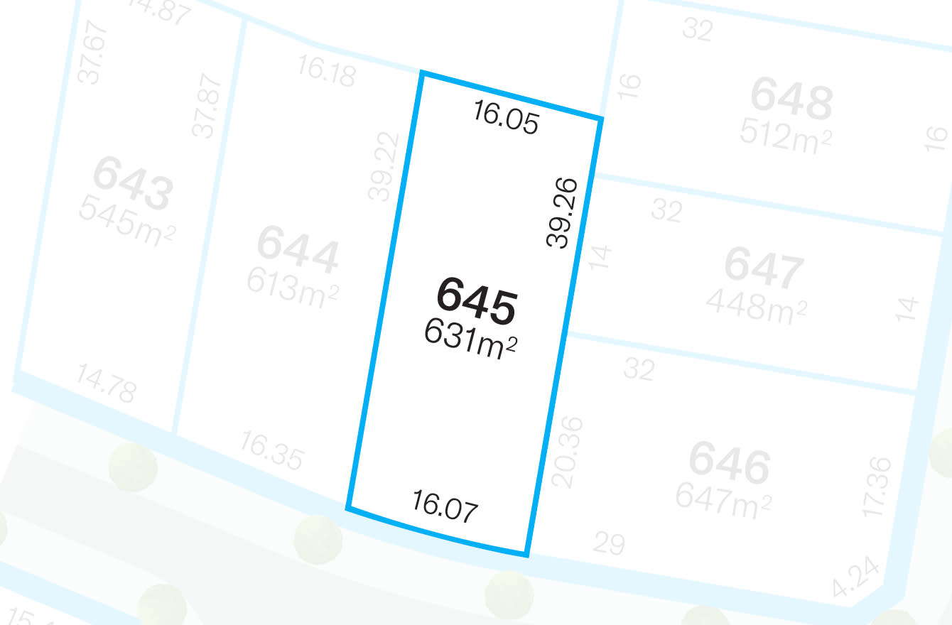 Lot 645