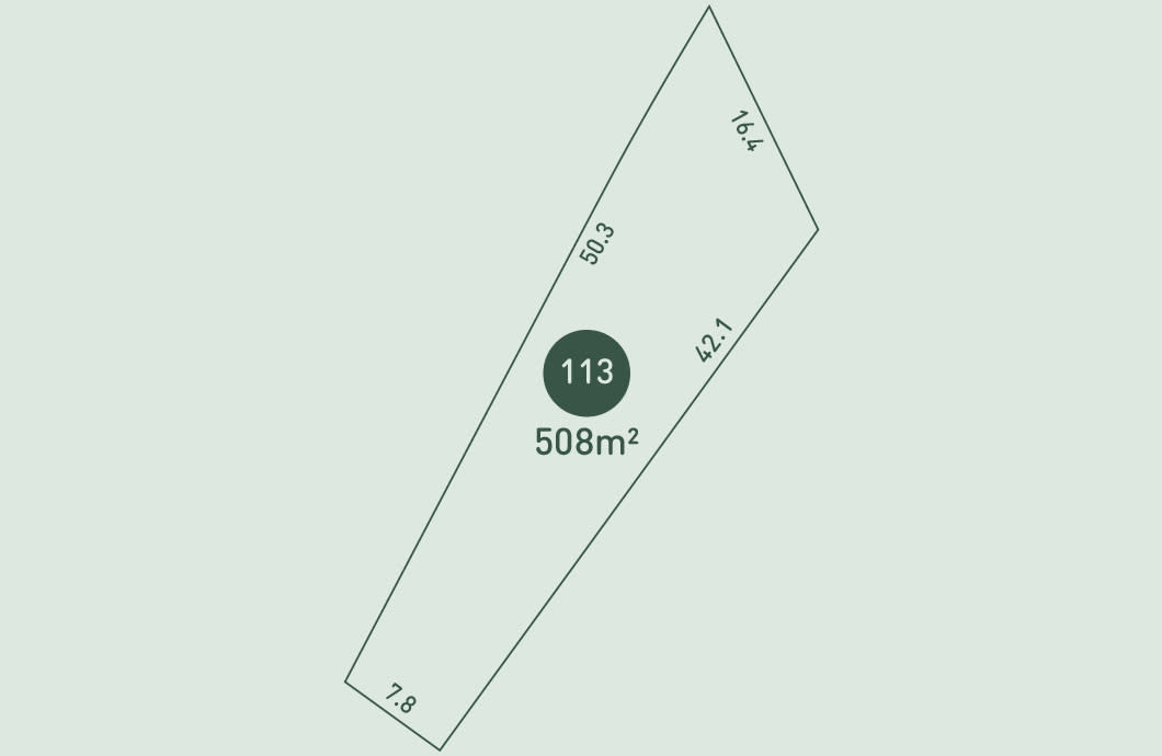 Lot - 113