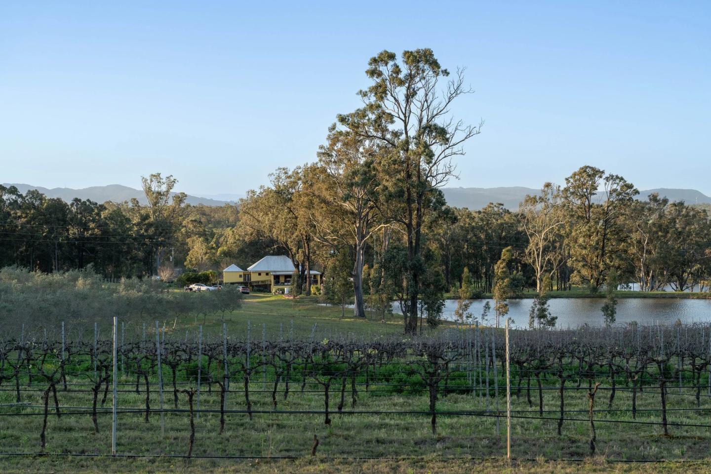 Sandalwood Estate