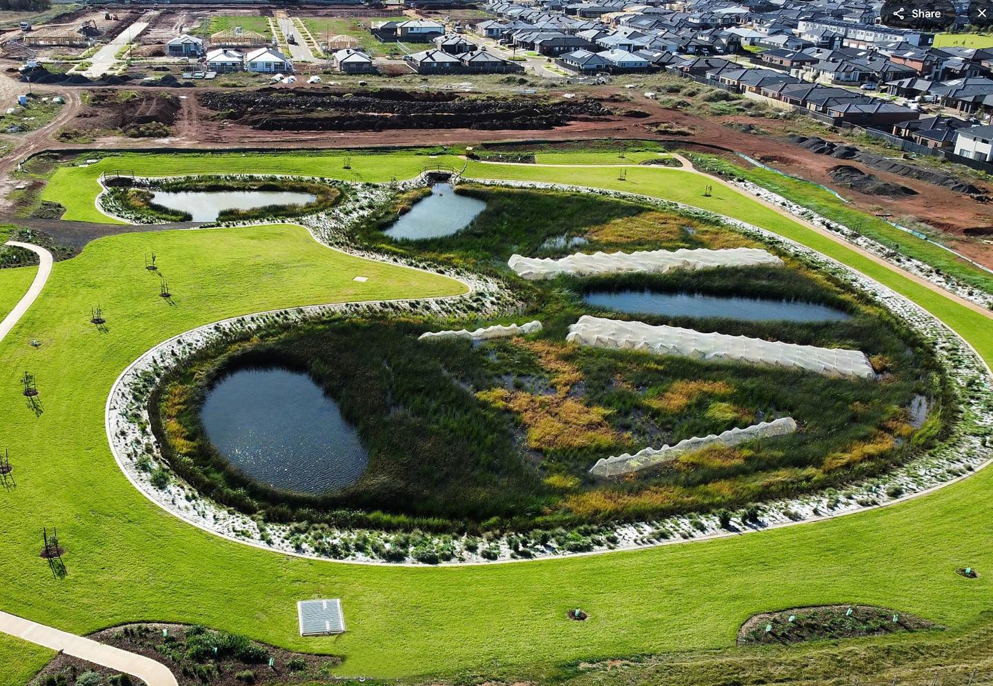 Orchard Green Orchard Green