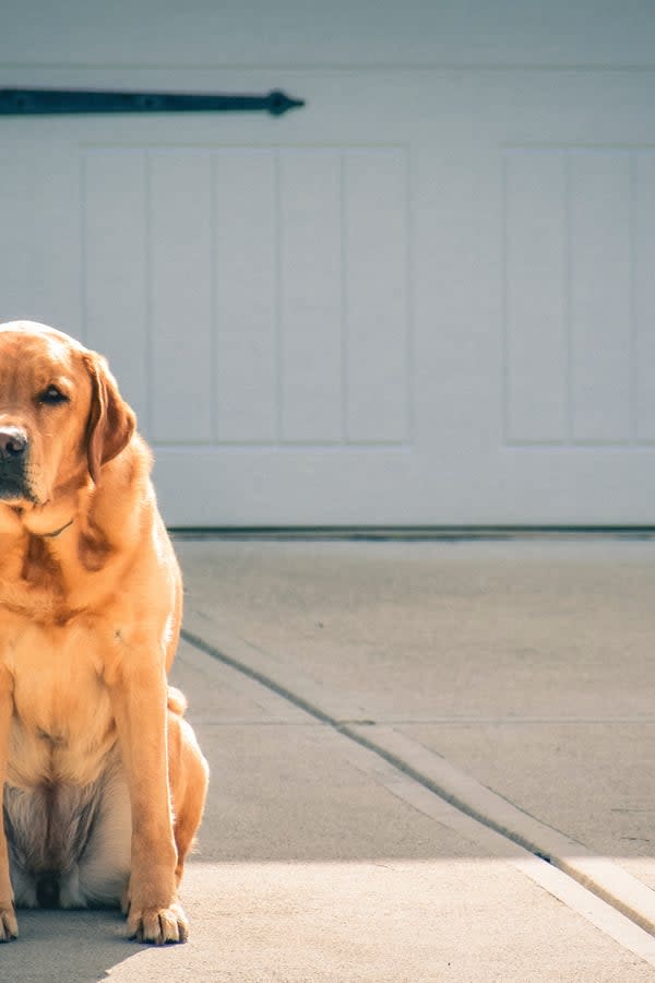 How to Choose the Right Driveway Material for Your New Home