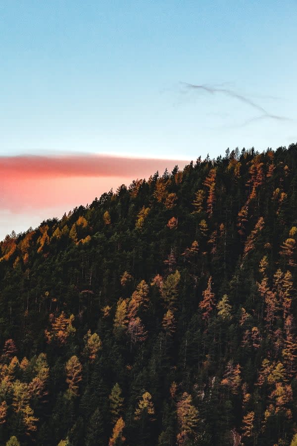 5 Things to Consider Before Buying a Sloping Block of Land