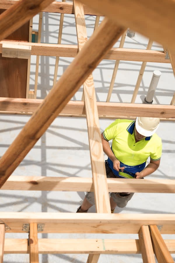 Victorian Government Invests in Timber Plantations