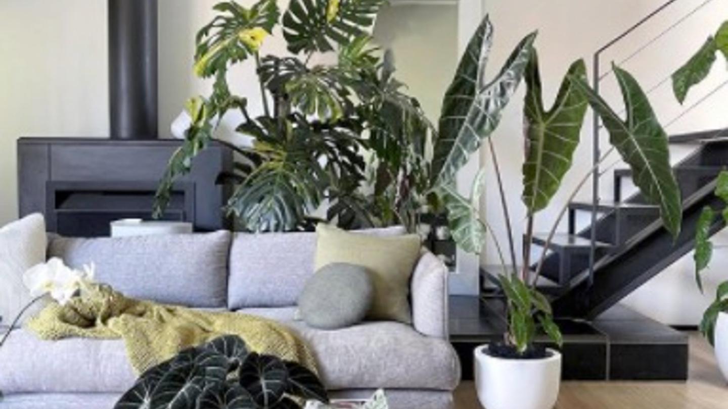 2021 Home Design Trends