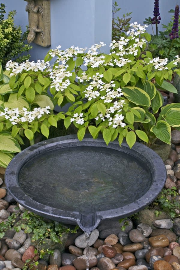 Modern Garden Design: How To Add A Touch of Luxury to Your Outdoor Space