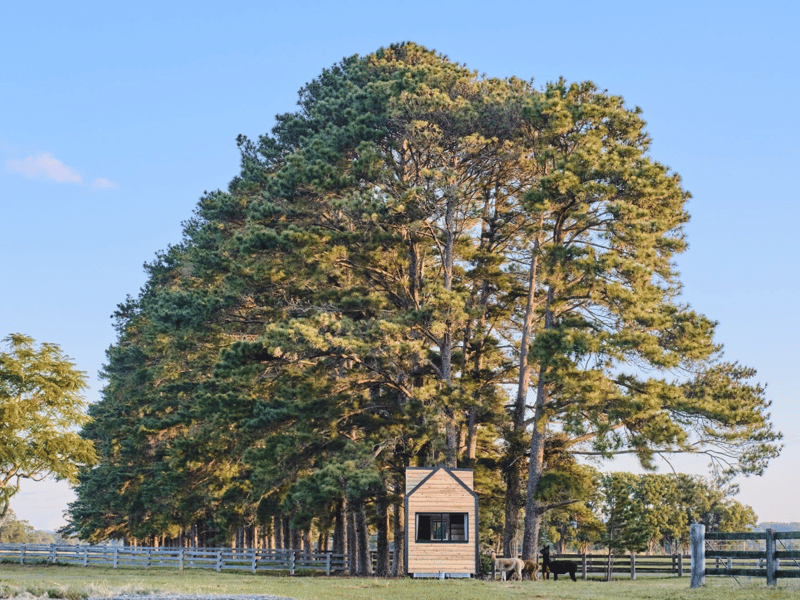 Exploring Melbourne's Top Tiny Home Providers
