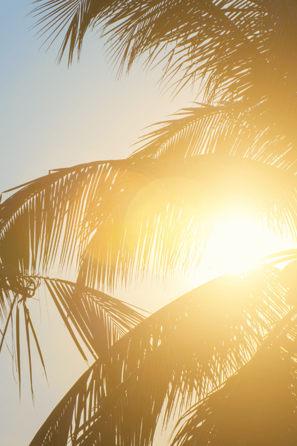 How To Keep Your Home Cool This Summer