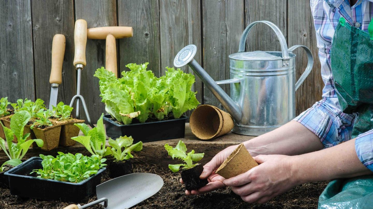 Best Methods For Preventing Rust On Your Garden Tools & Shed