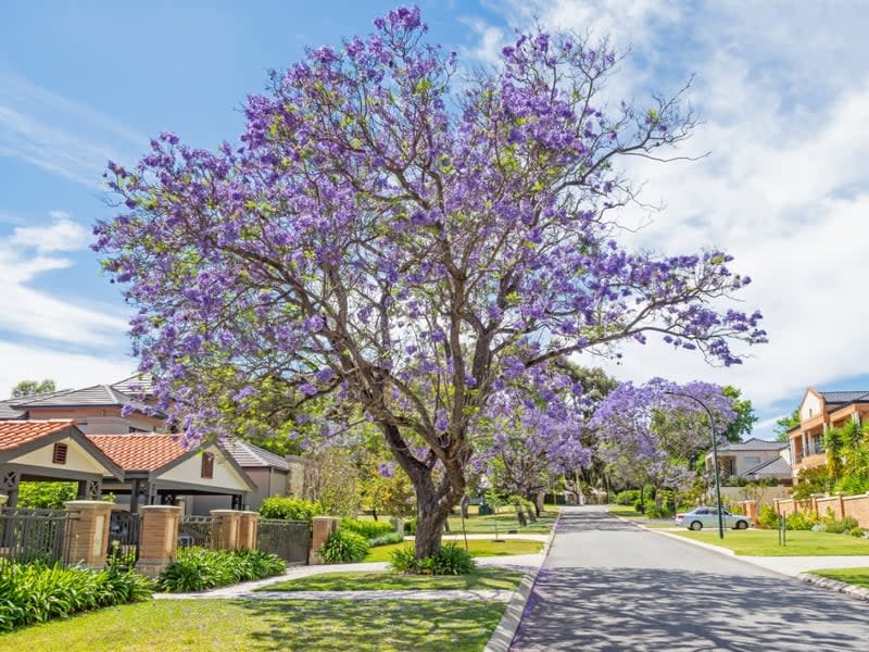 Living in Lara: Embrace the Charm of the Austin Estate