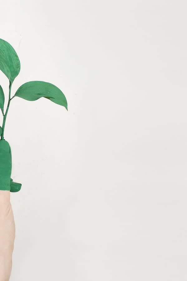 What is Green Power? How Does it Work?