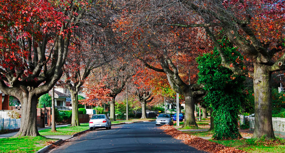 Suburb Property Profile: Box Hill VIC 3128