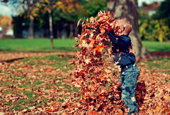 How to Prepare your Home for Winter