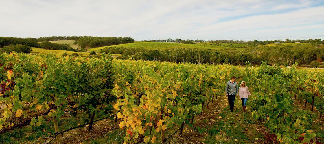 Suburb Profile: Parafield Gardens SA 5107
