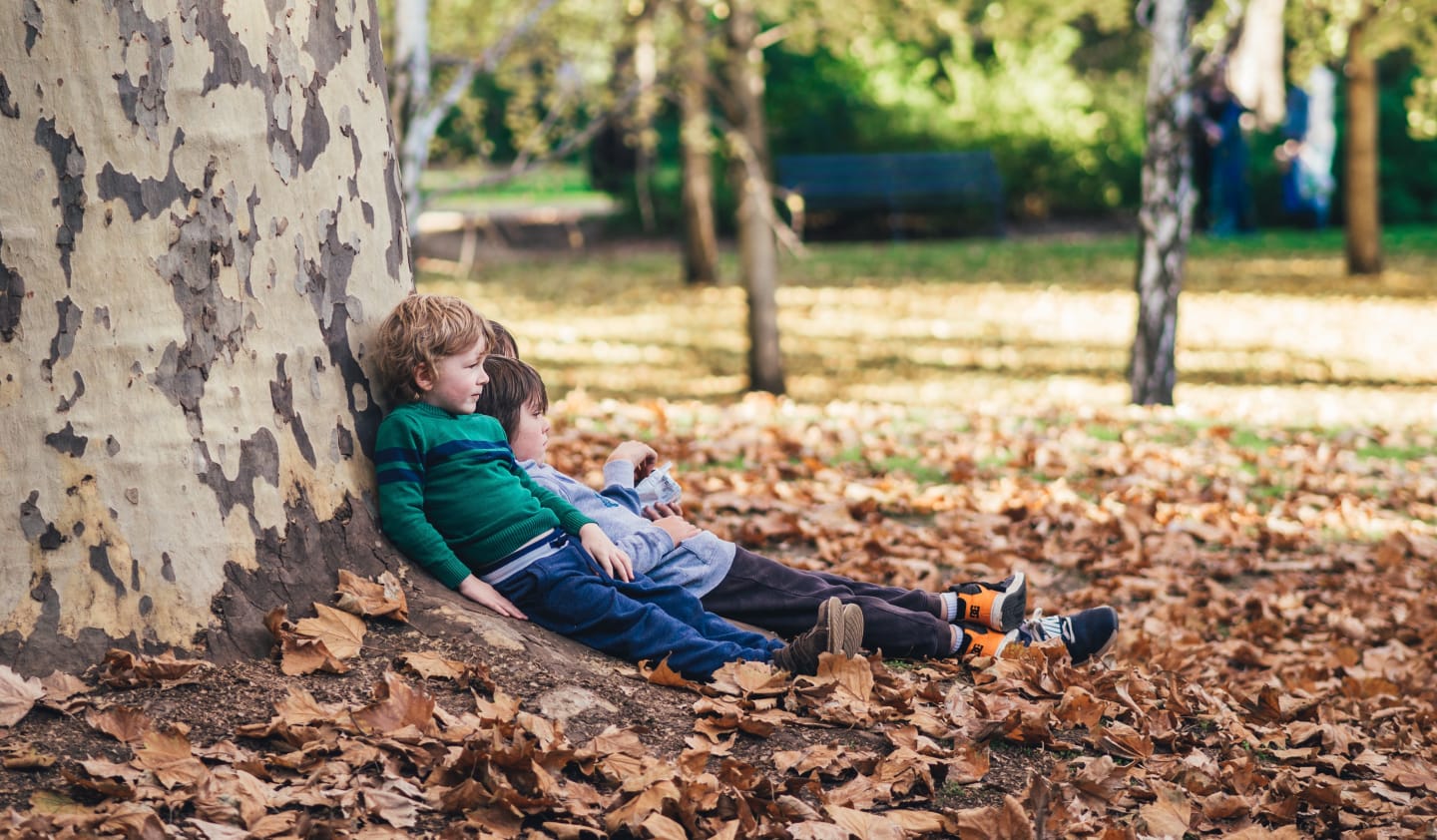 Suburb Profile: Golden Grove SA 5125