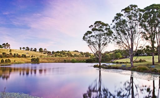 Suburb Profile: Leppington