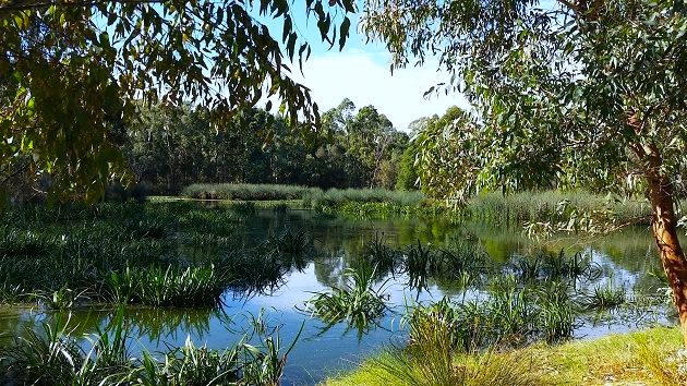 Suburb Profile: Mount Barker, SA