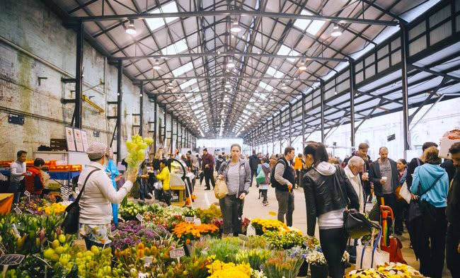 Suburb Property Profile: Fern Bay, NSW 2295