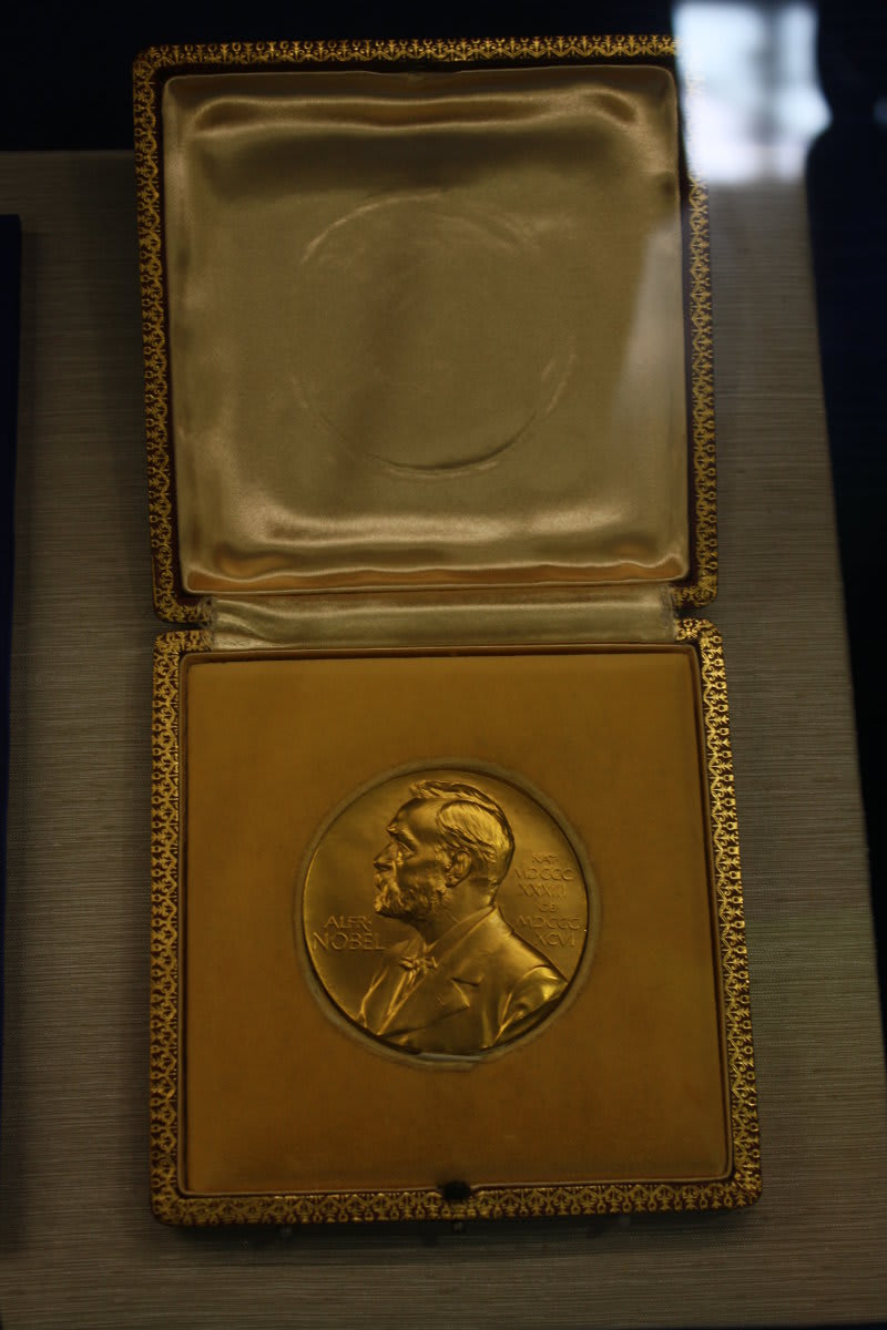 OHM 2013: Walter + Eliza Hall Institute