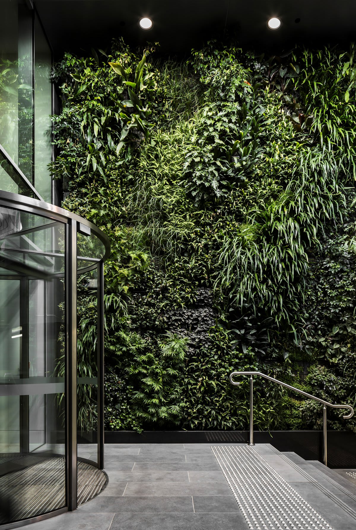 Beyond the hyperbole -  what really sets Prima Pearl apart