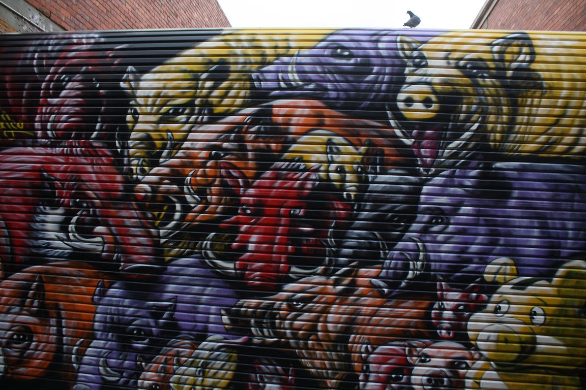 Red + Black Review: Melbourne School of Design