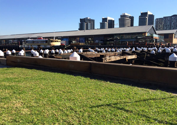 Places Victoria submits Harbour Esplanade Masterplan