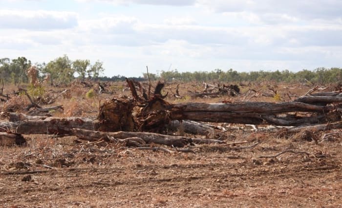 Australia is a global top-10 deforester – and Queensland is leading the way