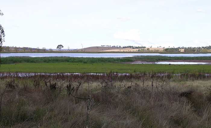 Slower rural sales across NSW Northern Tablelands: HTW