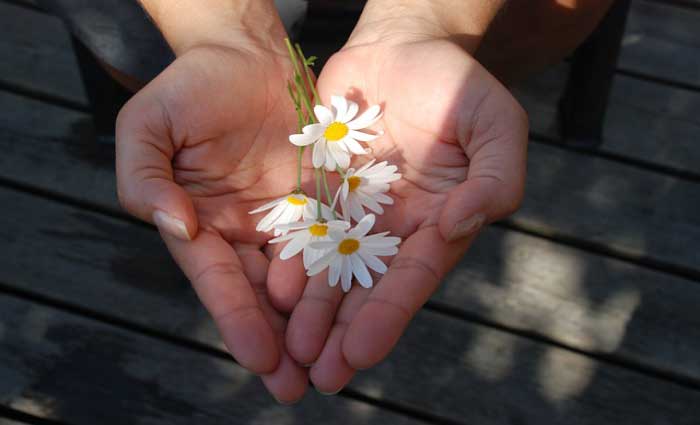 Teach and you shall give: Jo Chivers