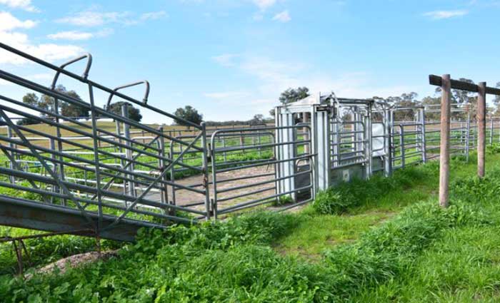 Land value increases in South Australia's rural pockets: HTW