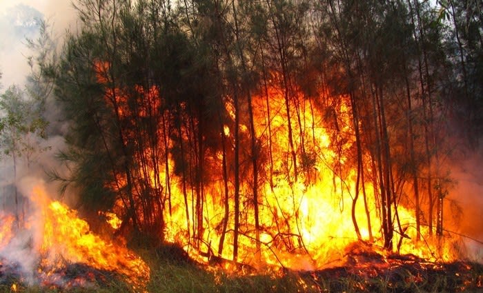 Drought, wind and heat: when fire seasons start earlier and last longer