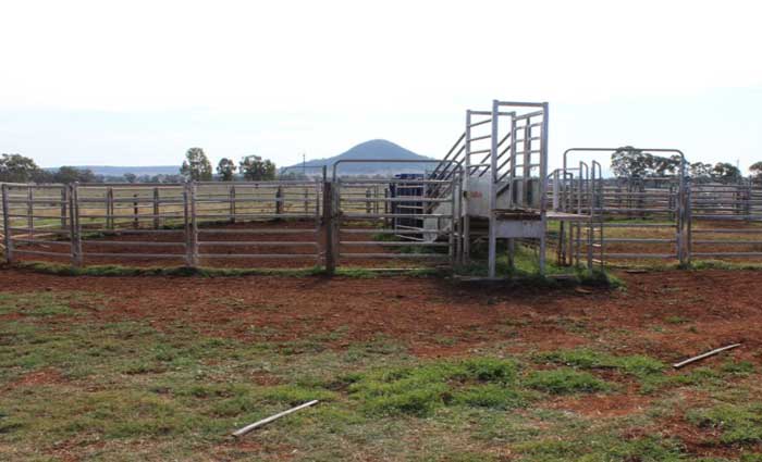 Slower winter property sales across NSW North West Plains