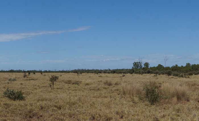 Peabody Energy lists three central Queensland cattle stations