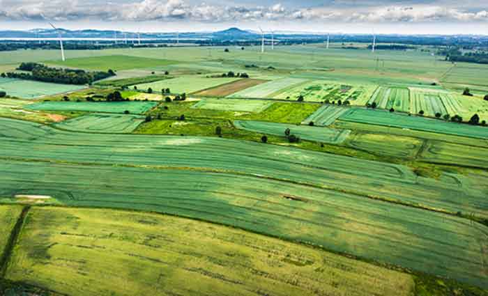 Property 101: Land banking and property investment schemes