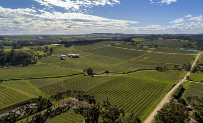 Colliers International to sell Barossa Valley viticulture enterprise