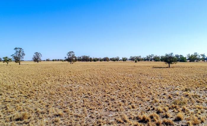 Clyde Cottage, Collie goes under contract