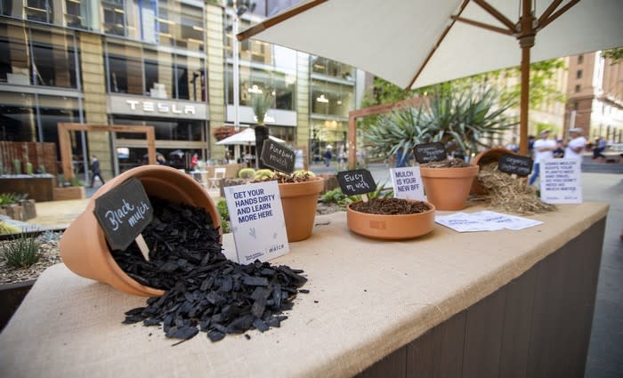 Drought Proof Garden unveiled in Sydney 